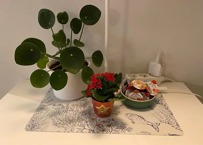 Apartment Logies-m Comfort Inc Bikes