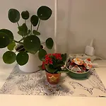 Apartman Logies-m Comfort Inc Bikes