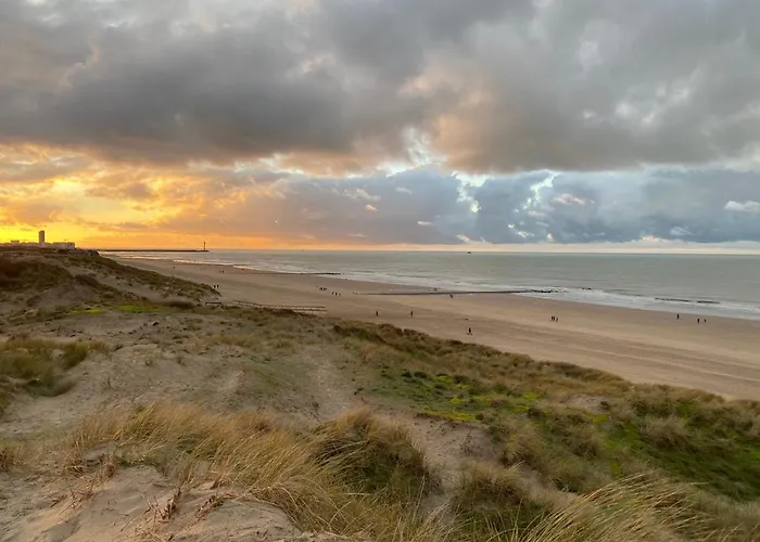 Logies-m Comfort Inc Bikes